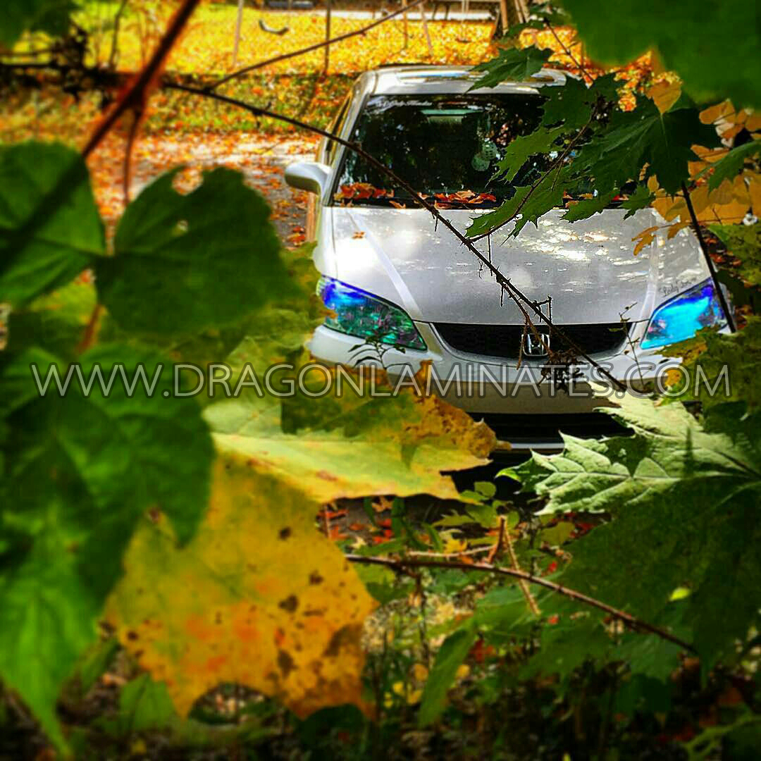 Image-1445758843973 copy.png