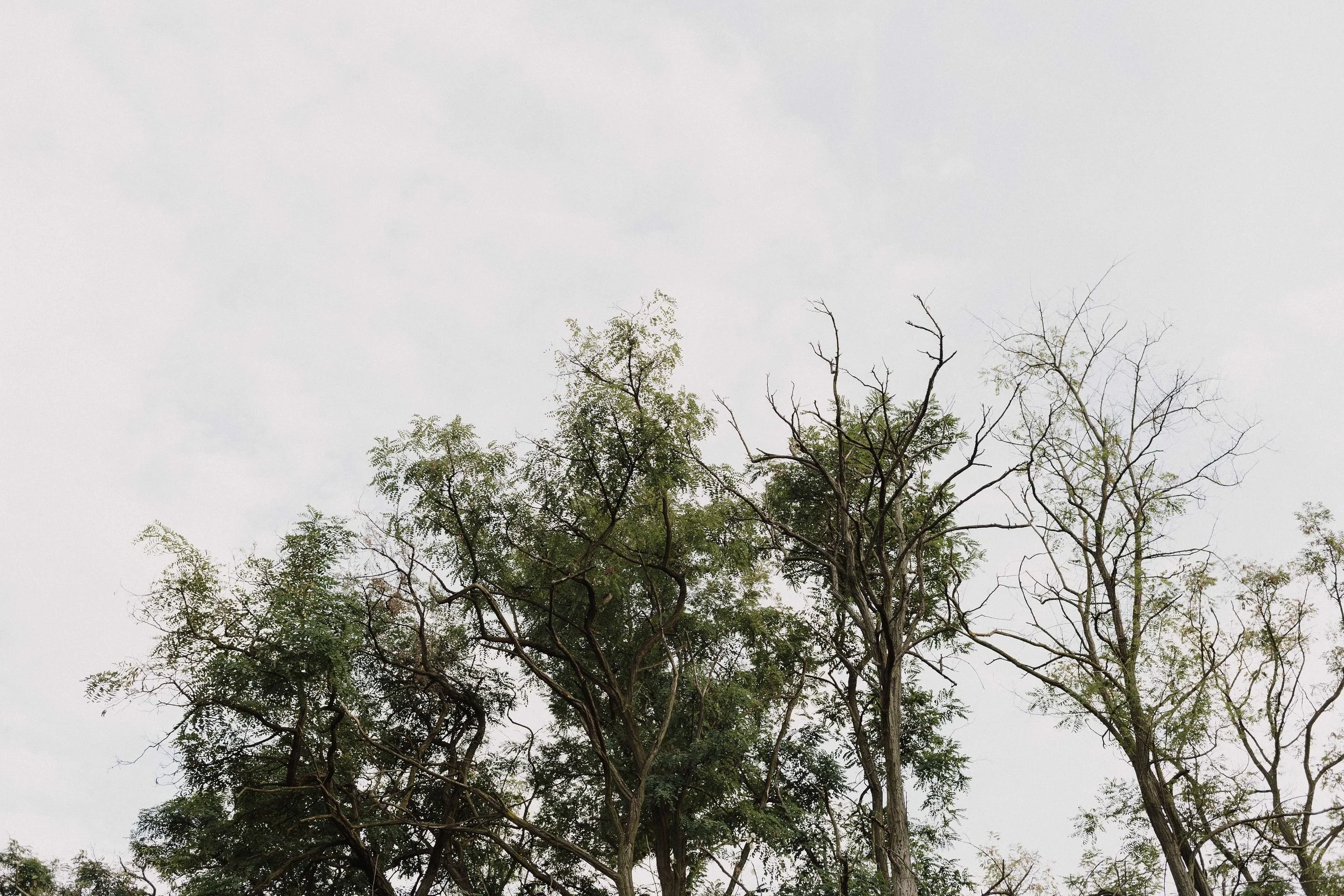 20160902_Toth-csalad_w_002__MG_9179.jpg