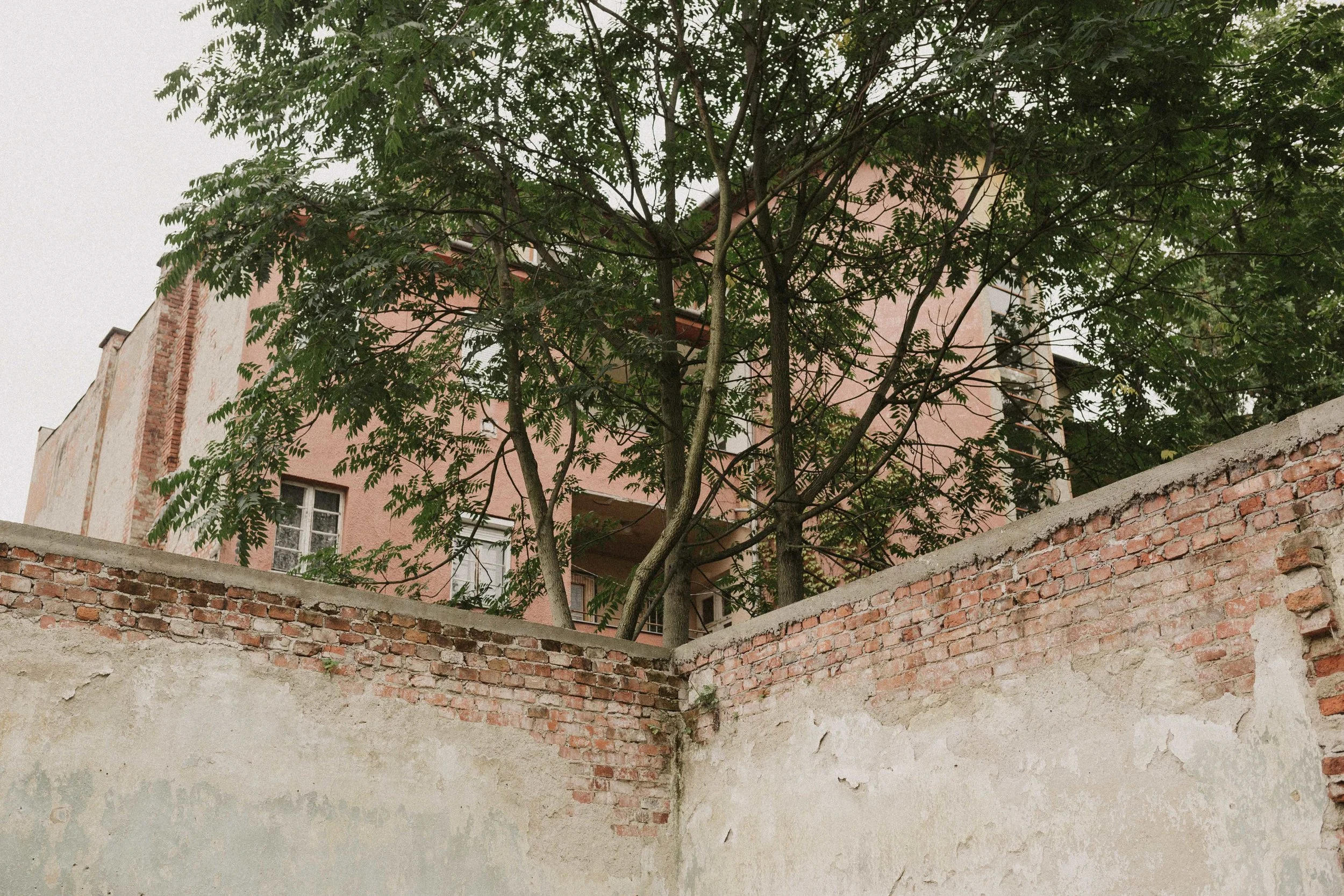 20160917_Marjai-Szalkai_w_082__MG_8225.jpg