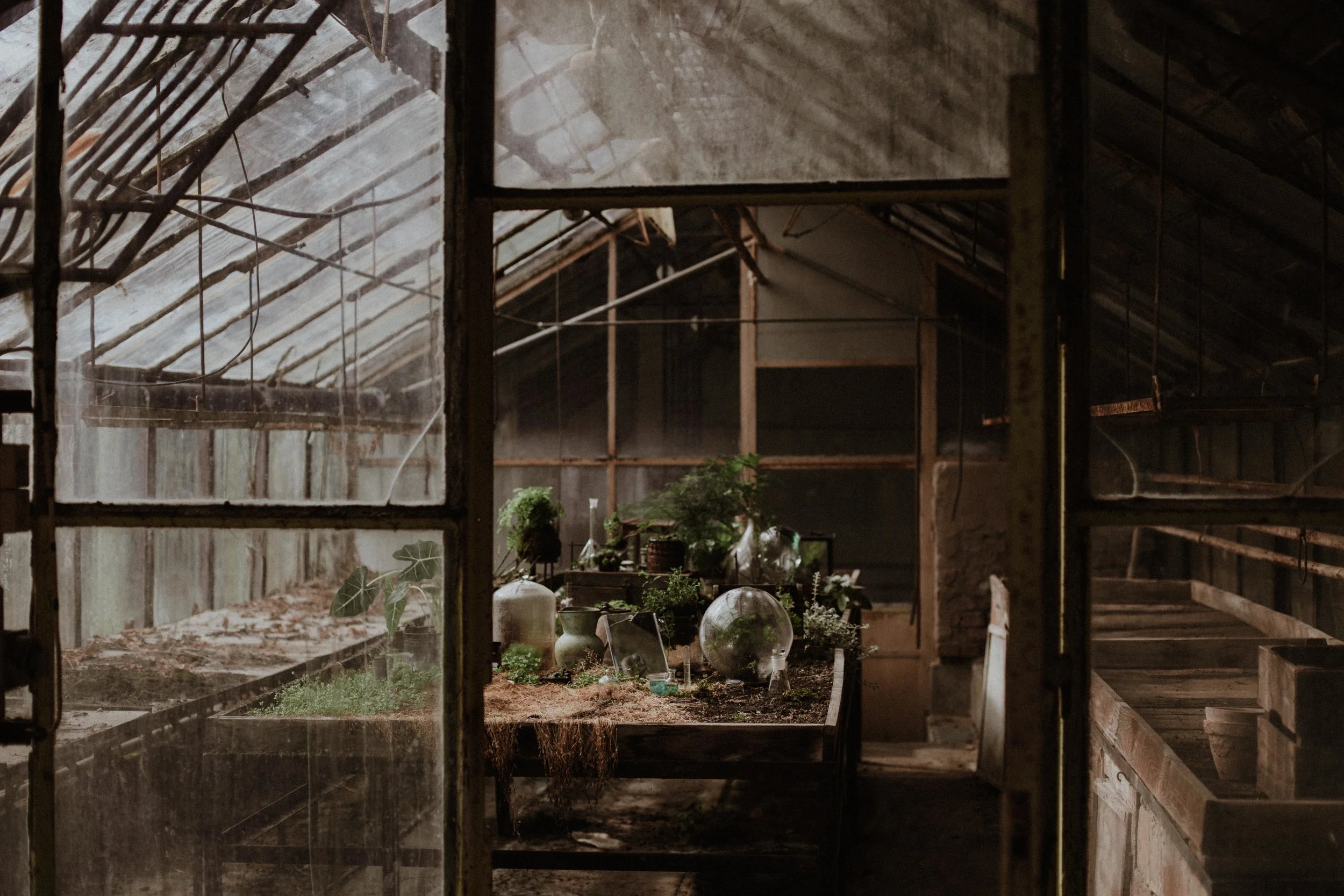 20170321_greenhouse_stsh_w_018__MG_6456.jpg