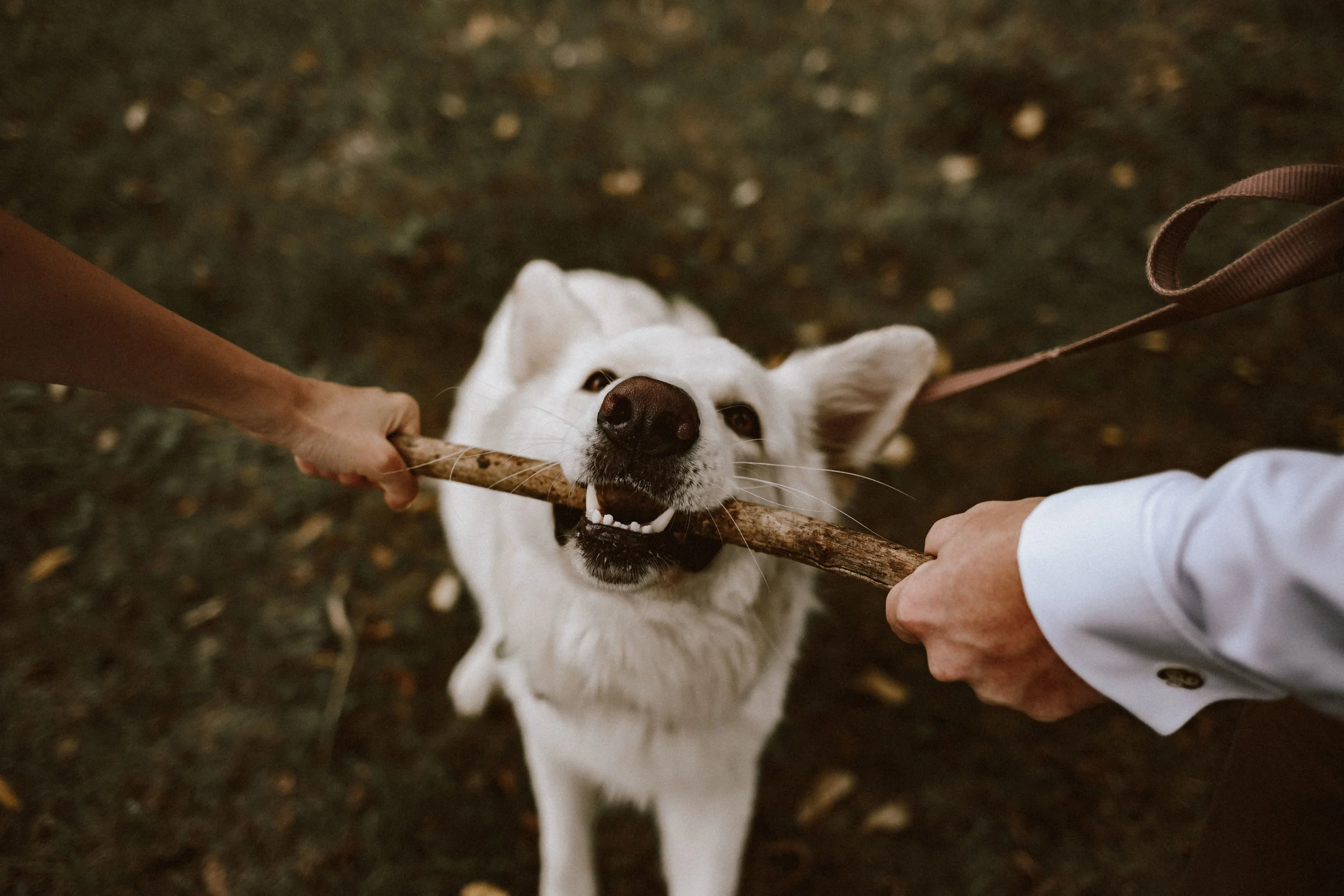 1824-Brigi+Adam-wedding-033-w.jpg