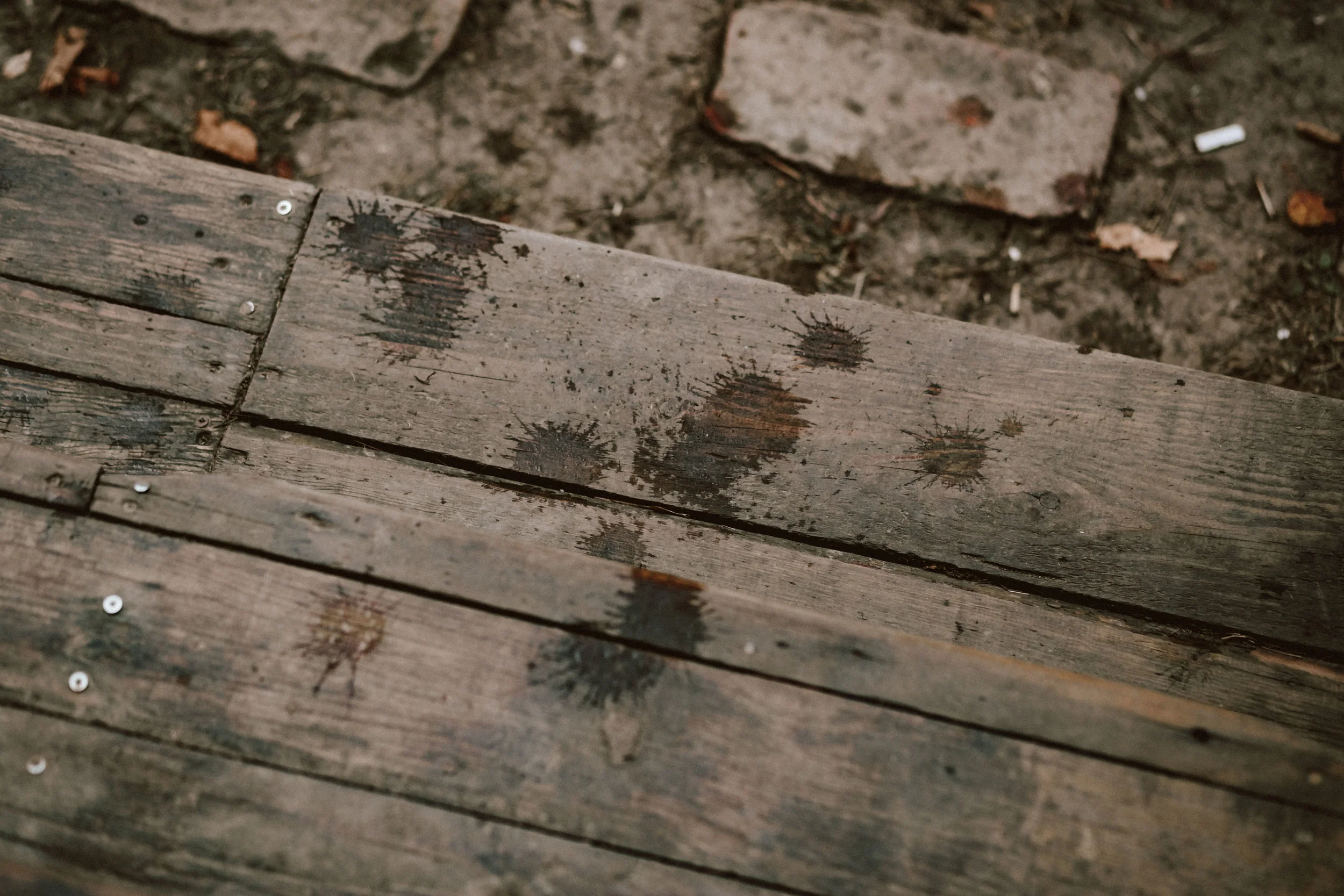 1824-Brigi+Adam-wedding-424-w.jpg