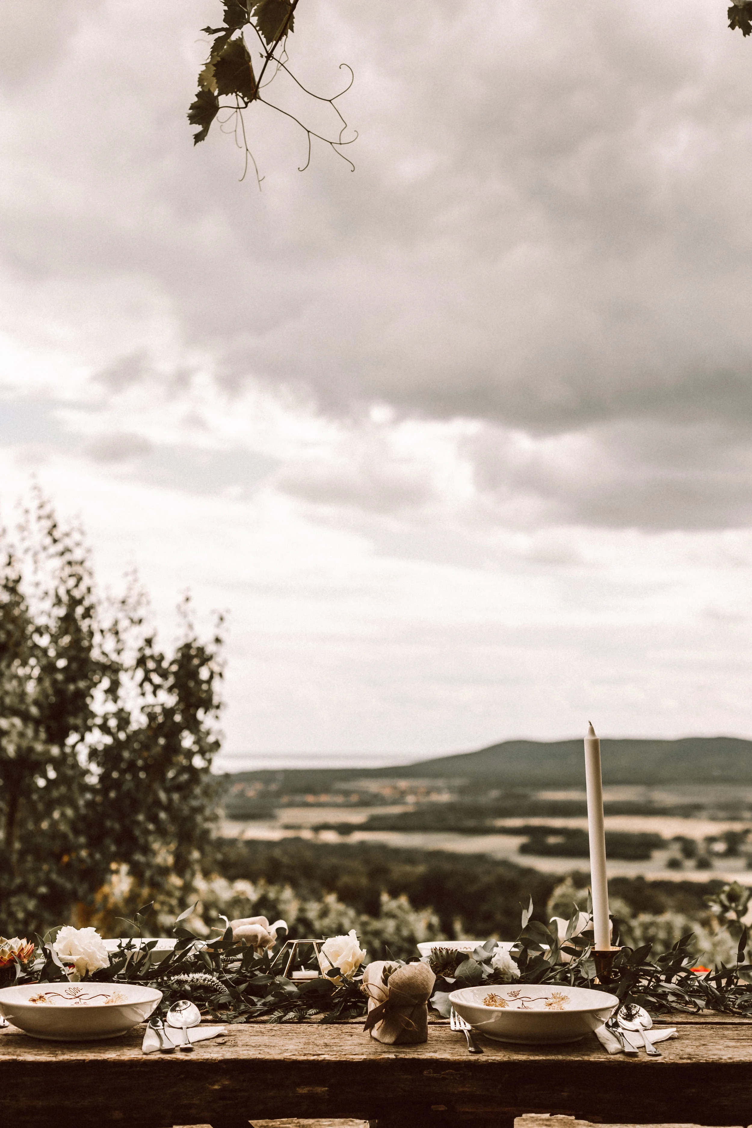 1814-Anita-Laci-wedding-410-w.jpg