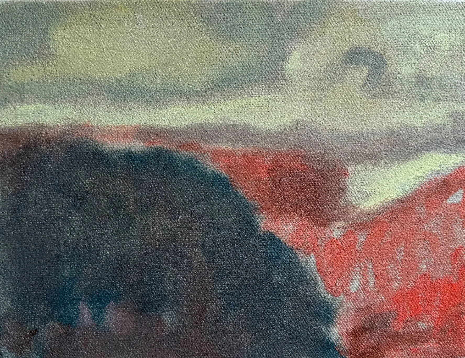 IMG_5547.jpg