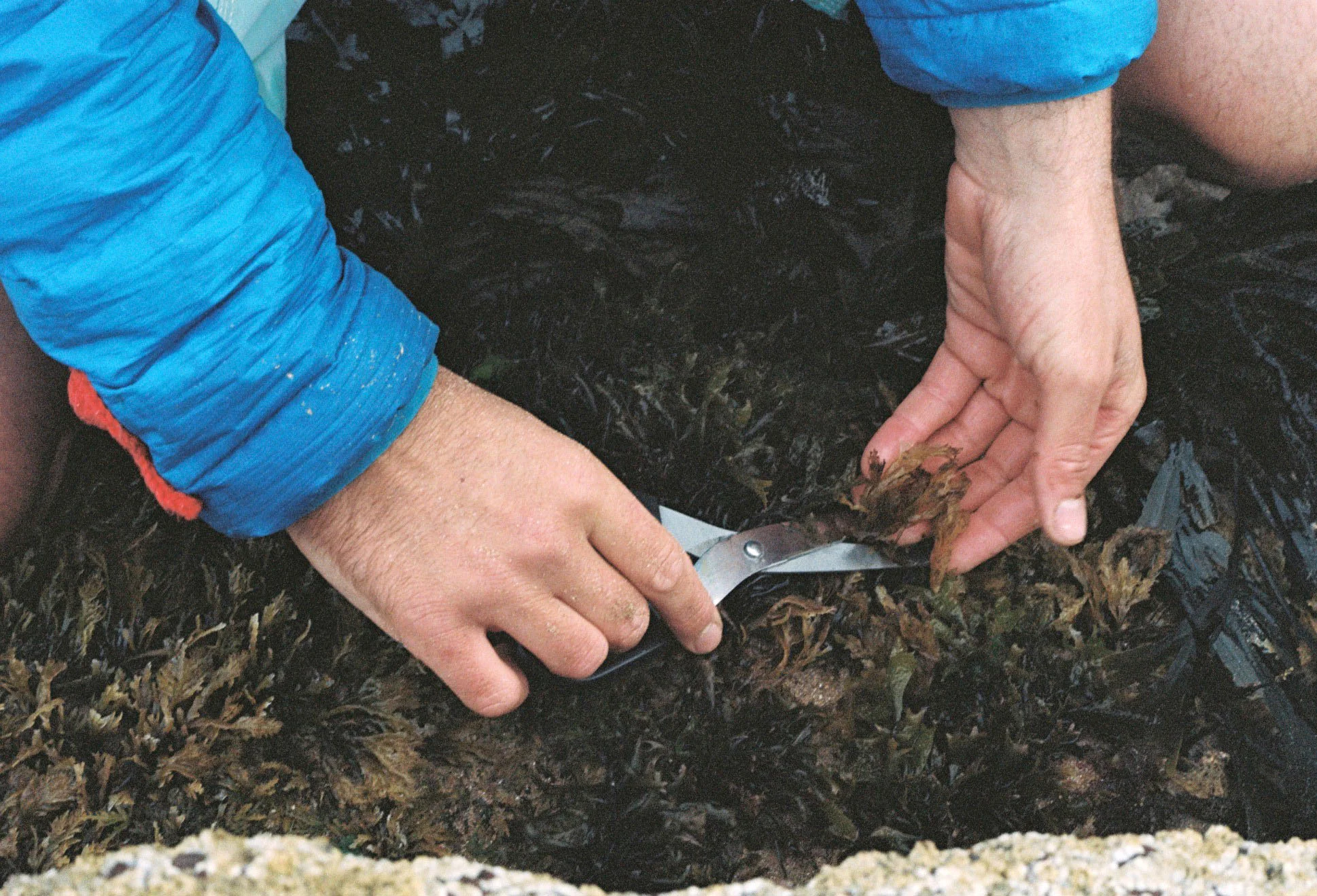 PembrokeshireBeachfood21.jpg