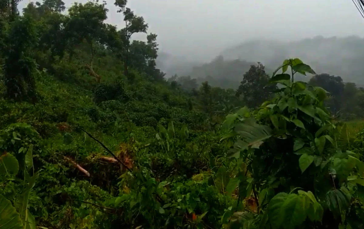 raindance.jpg