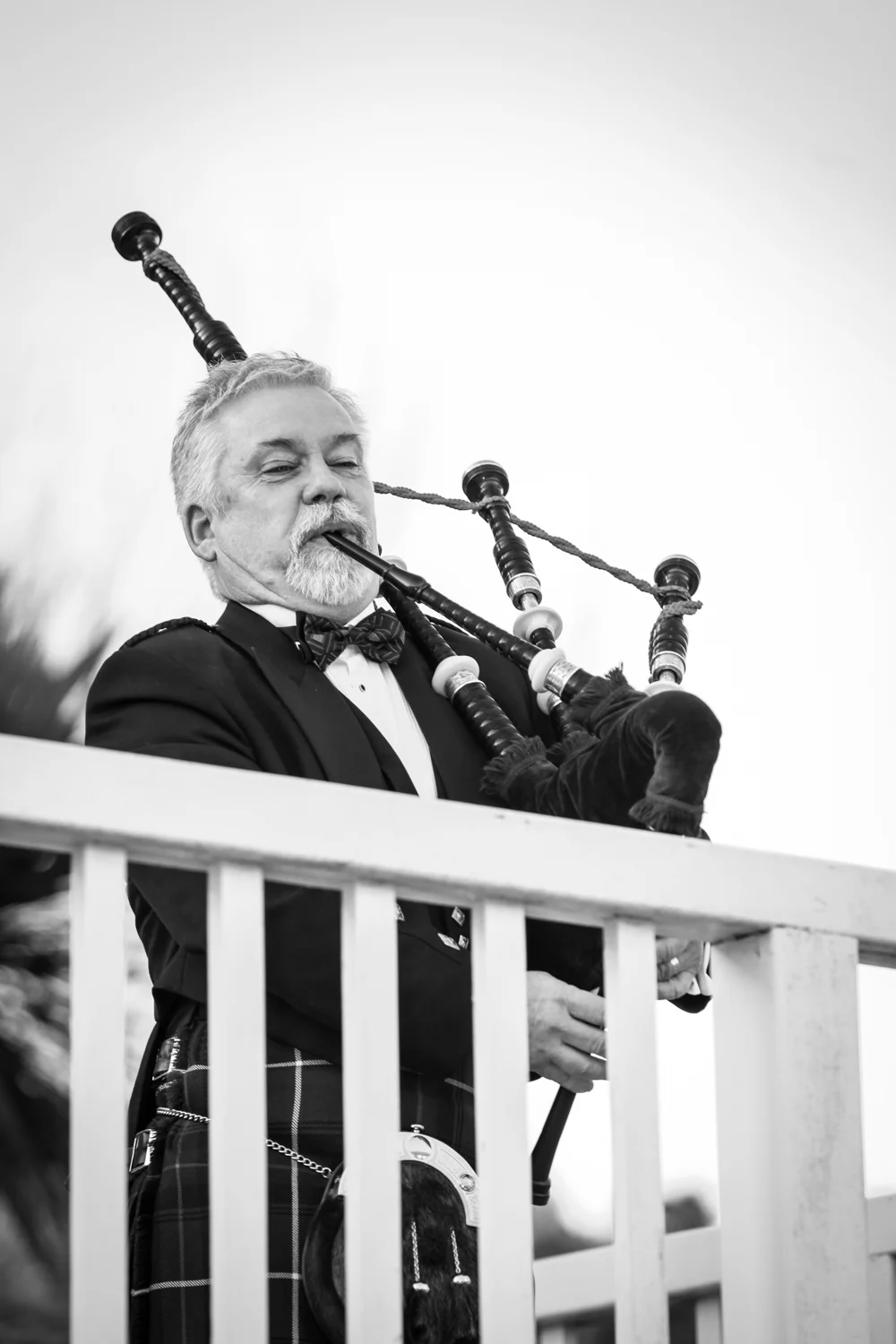 Wedding photographer Auckland wedding blog 2-15