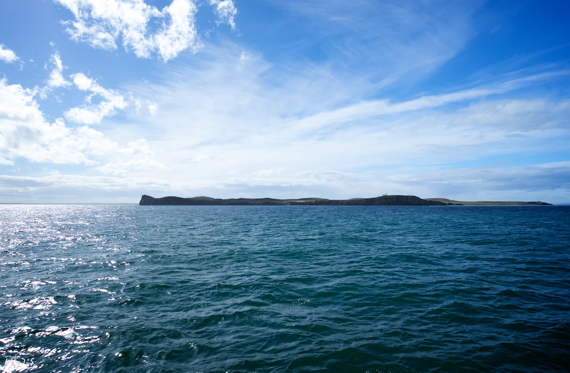 Isla Magdalena