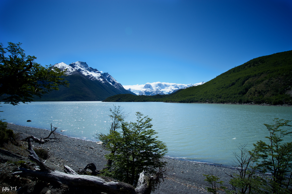 _DSC0857.jpg