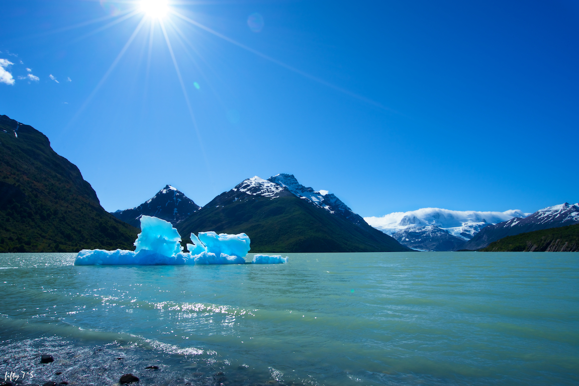 _DSC0879.jpg