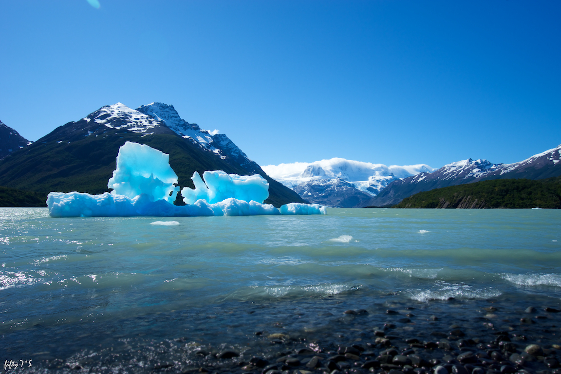 _DSC0884.jpg