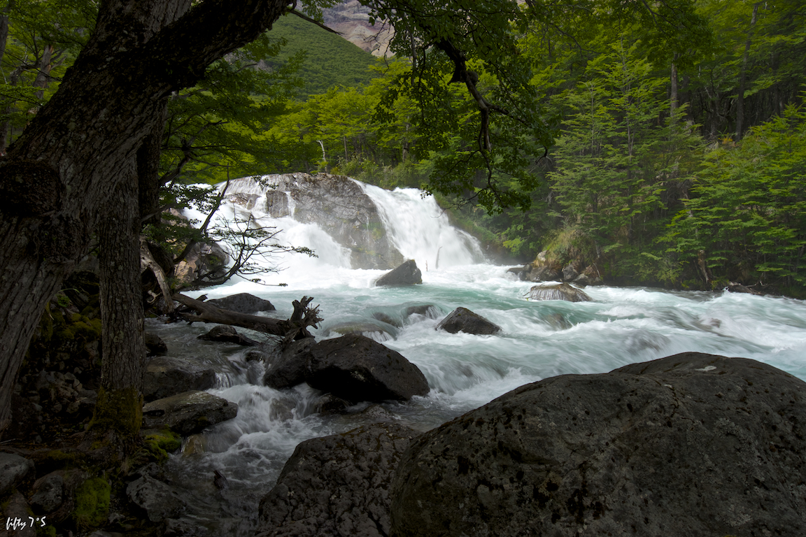 _DSC1406.jpg
