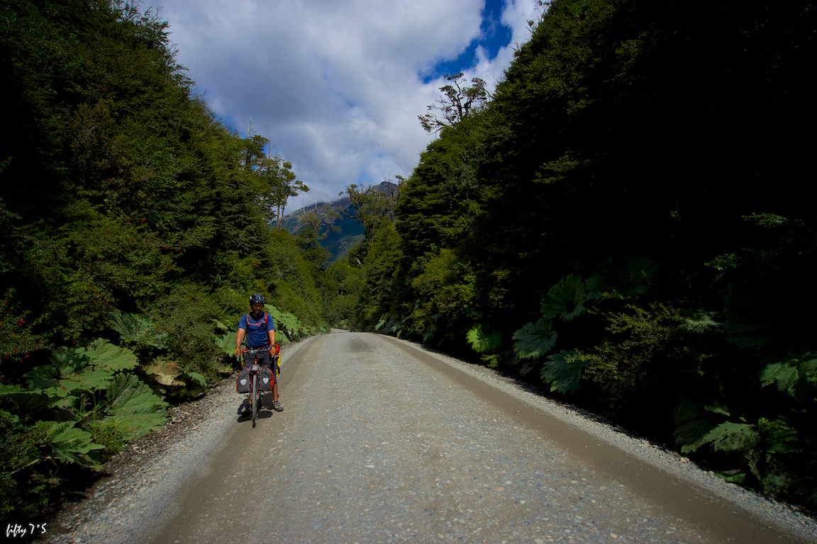 on the bike you get to appreciate the landscape changing before your eyes... we found ourselves riding through a rain forrest