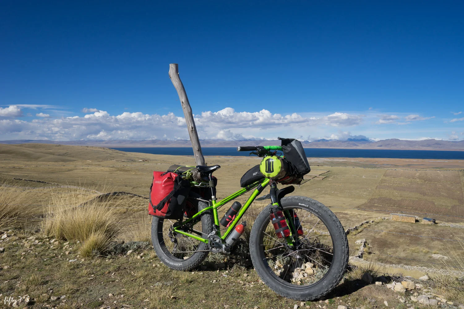 Bonny Bici