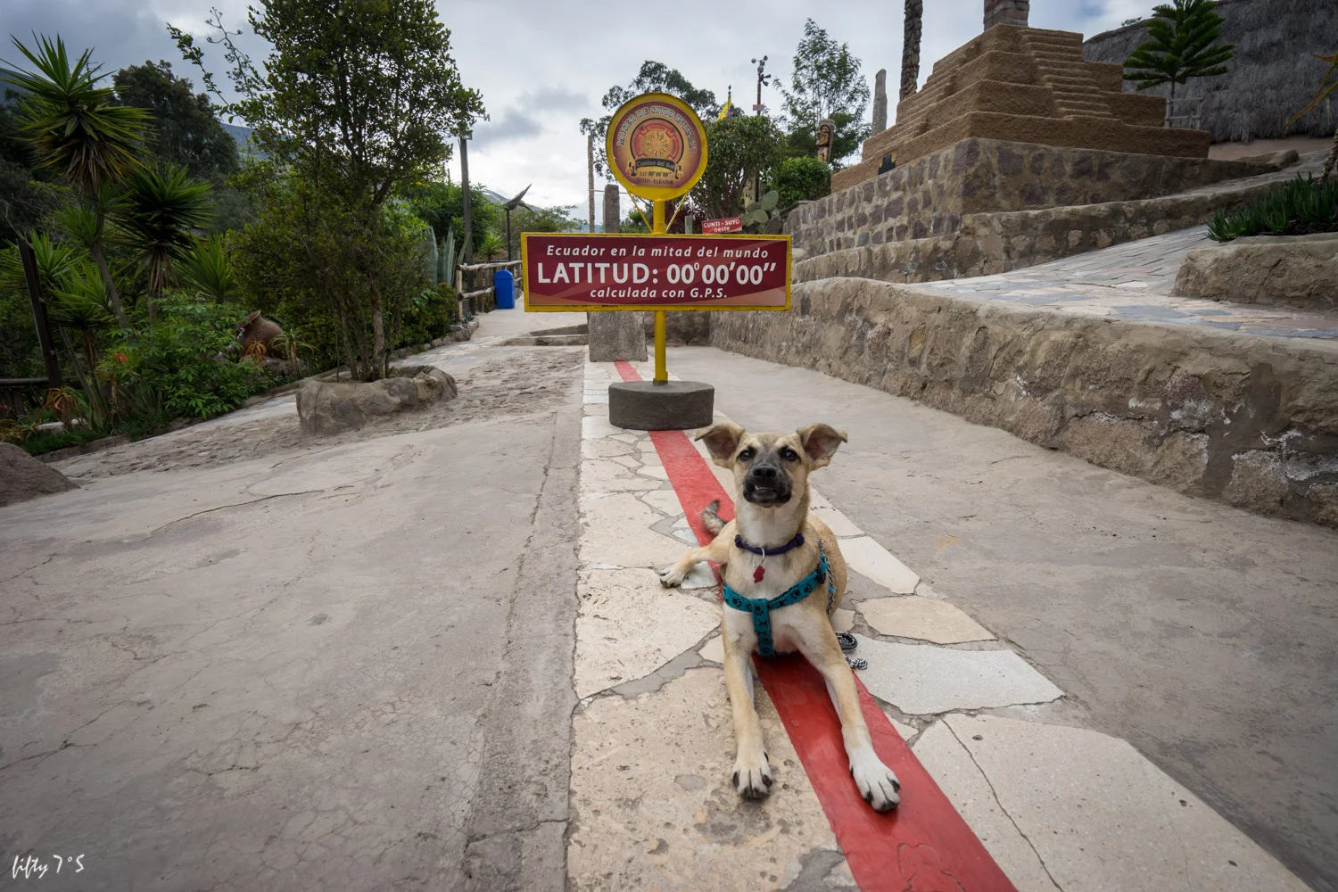Pacha's first time crossing into the Northern Hemisphere! 