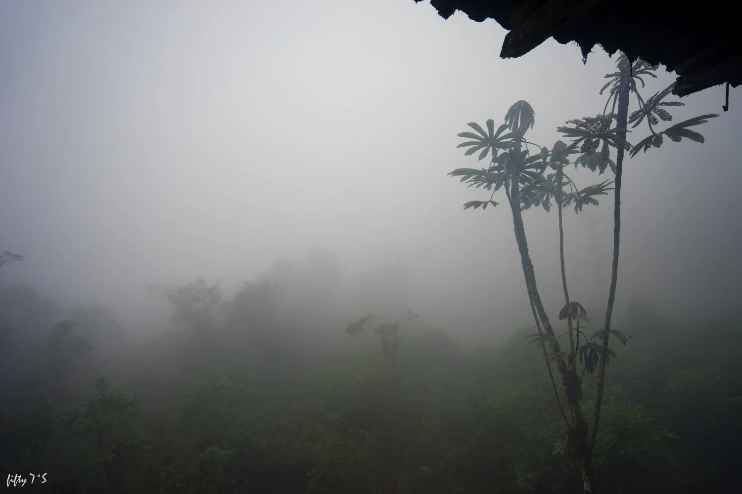 We rode through thick fog, out of the clouds down a massive decent to the amazon basin. 