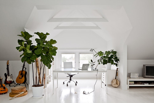 This is a great example of a context where the plants and the activity becomes the hero. Also notice the way the light filters into the space bouncing off the leaves adding so much charm.