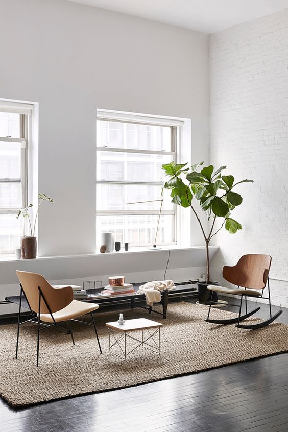 It makes the perfect corner plant, cause of its narrow spindly trunk that opens into an umbrella of green. Also love the subtle texture of exposed brick as the backdrop to the plant.