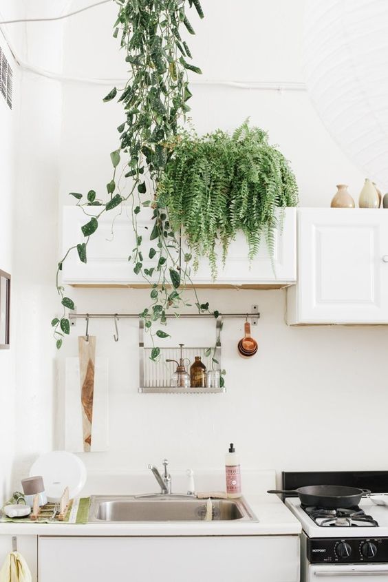 love how much drama a simple fern creates in this otherwise straight forward white kitchen and white window ledge seating corner(right). It also compliments the money plant twining down, creating an aesthetic that feels effortlessly graceful.