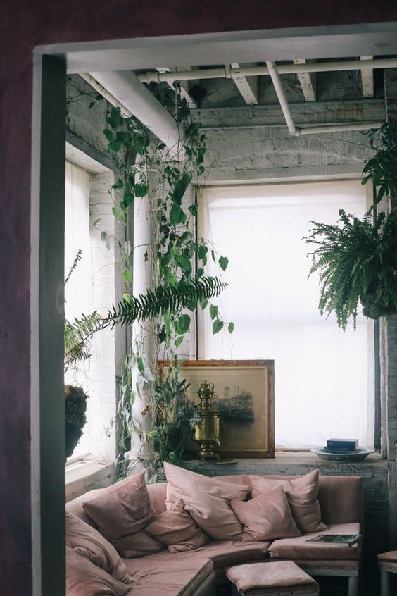 We cannot get enough of ceiling hung plants. ferns make some of the best plant chandeliers.