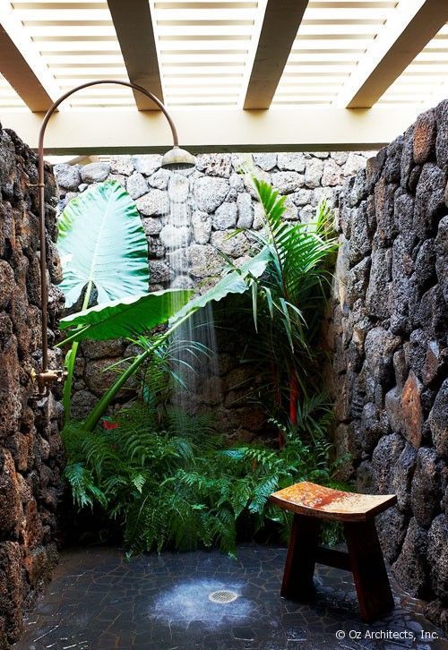 An other example of how much wilderness bushy ferns can bring onto the interiors.