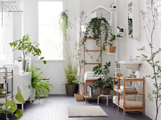 who doesn't love well lit bathrooms, that house a wide variety of plants as seamlessly as here. wood, plants, grey and whites! <3