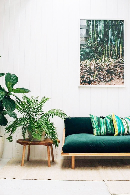 A stand alone Boston fern plant propped up on a stand, completes this living space