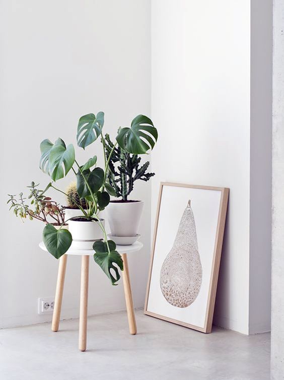 Who doesent love a simple pine wood legged stool with an assortment of beautiful plants to create a more interesting corner.