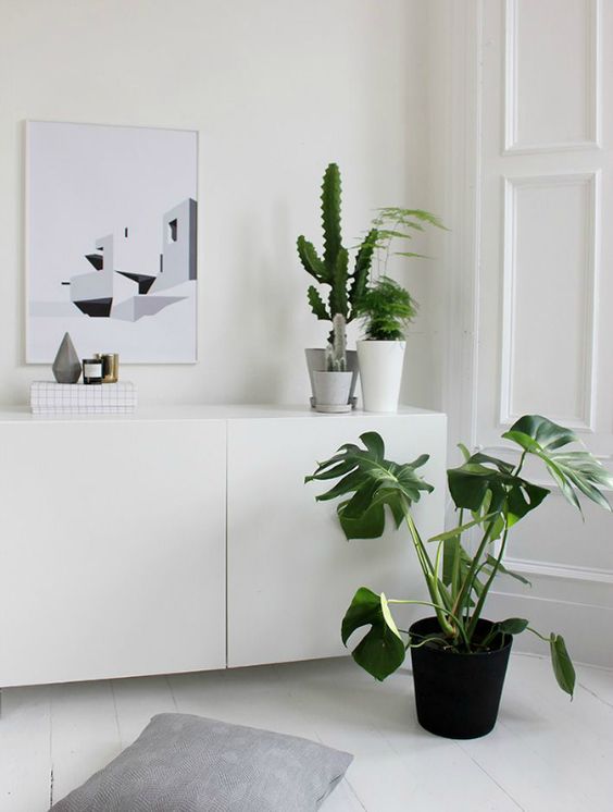 We've always loved simple whites, and when paired with the Monstrea, the space becomes completely fresh. The minimalist painting on the wall definitely helps.