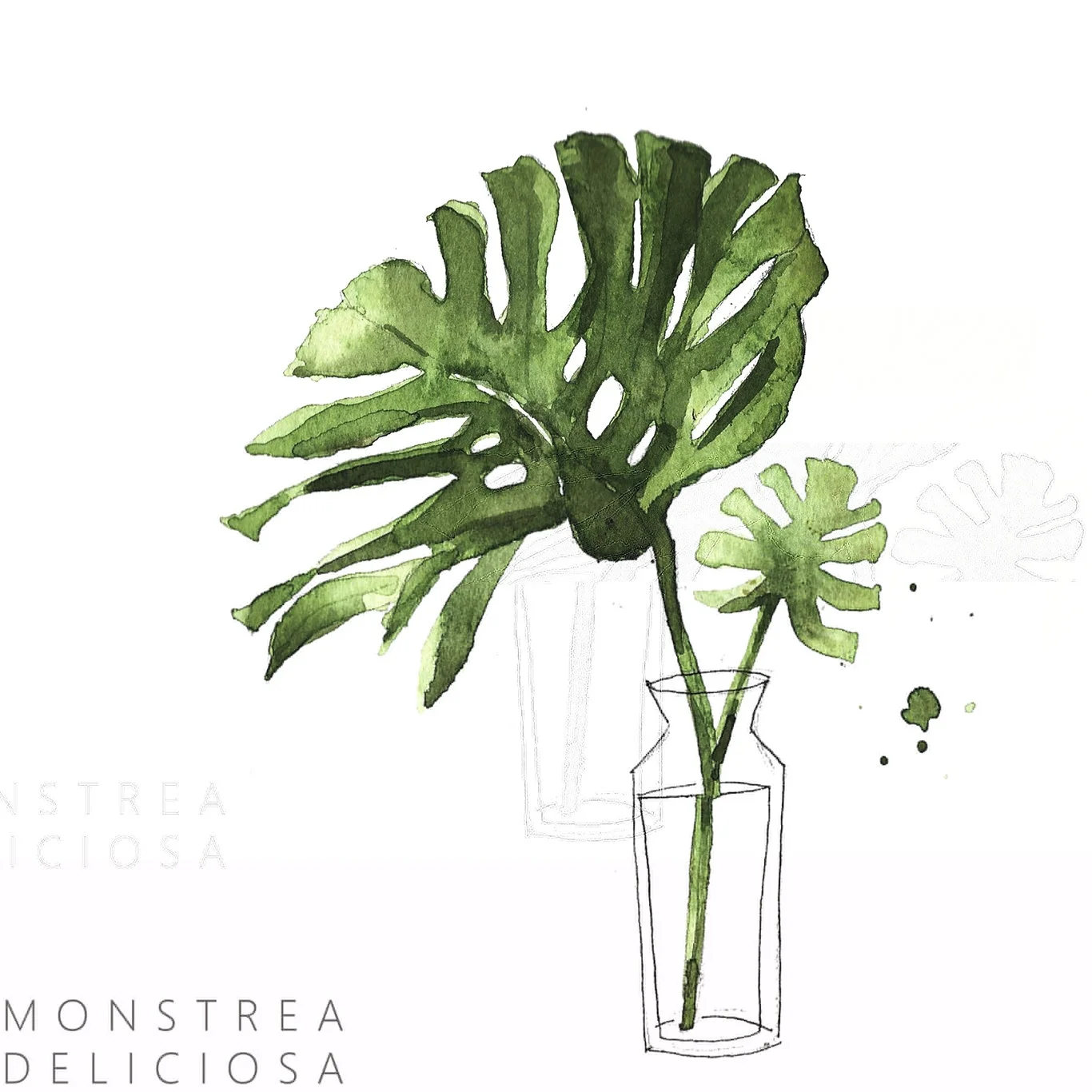 #4 MONSTREA DELICIOSA