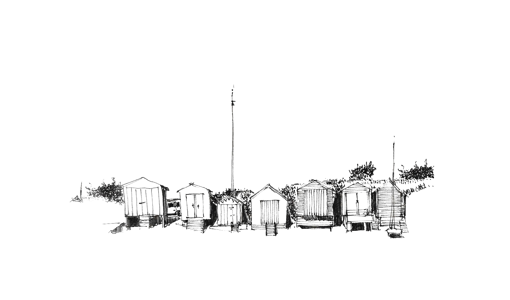 Survey-Image4.jpg