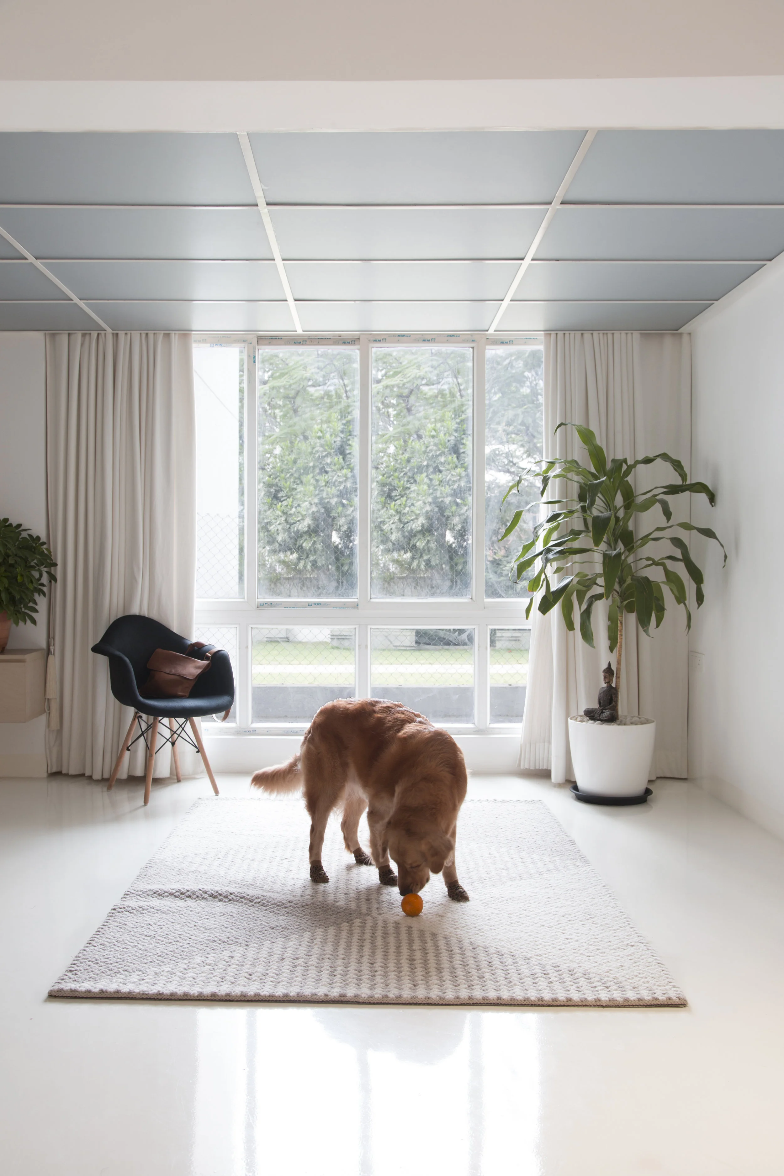 Drawing room.jpg