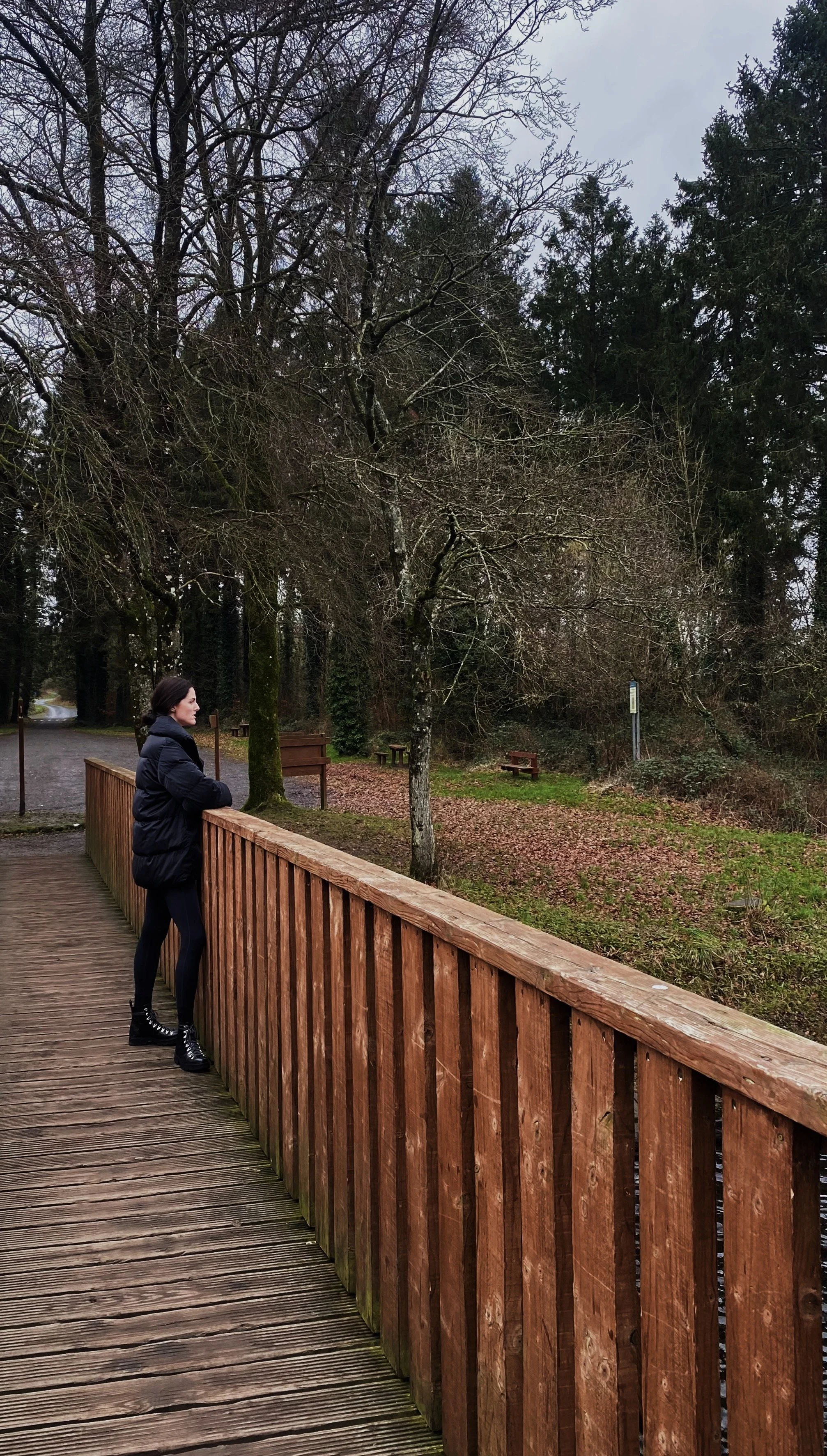 Checking In; CABÜ, Ireland