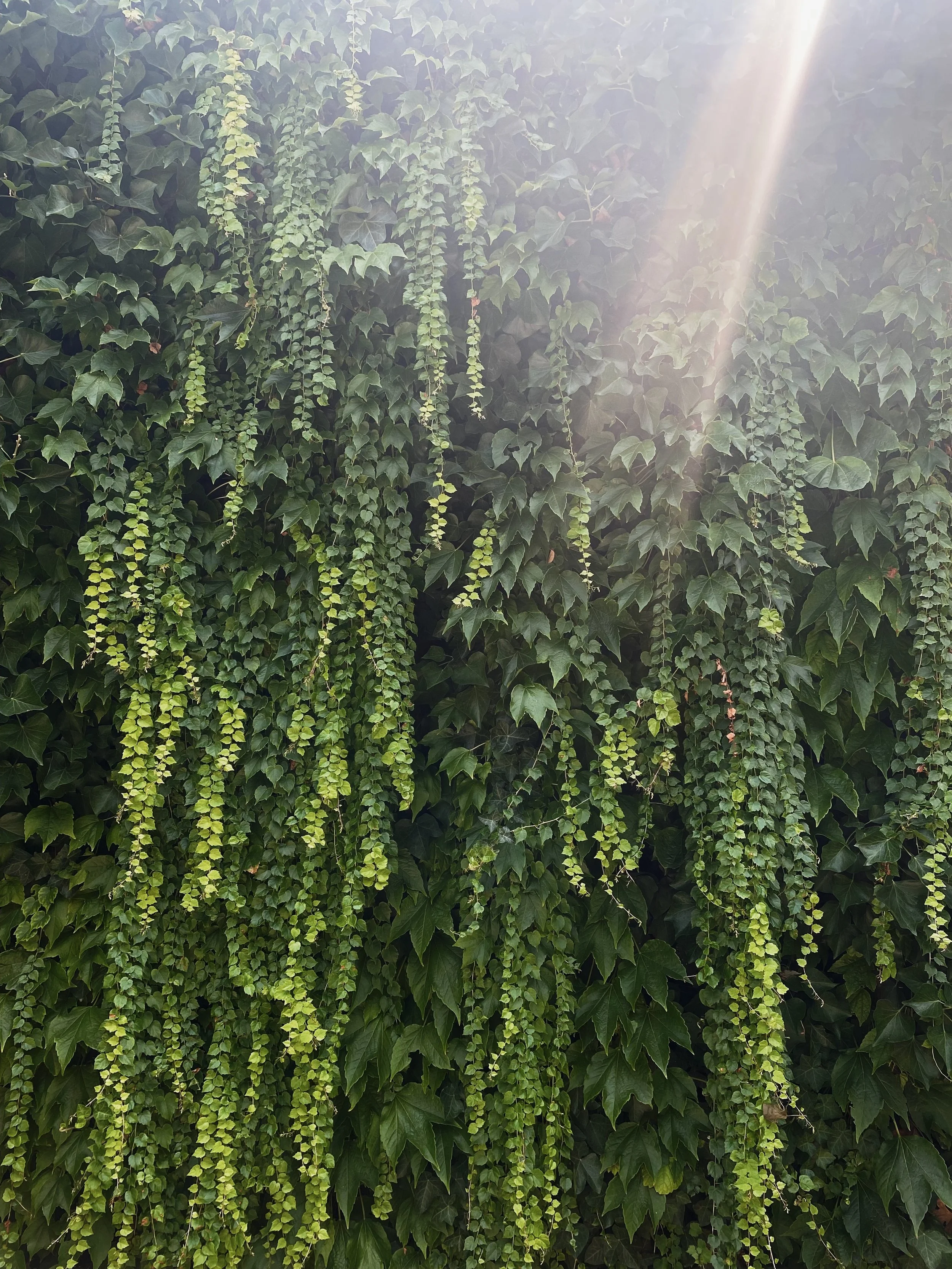 Wellness Books To Note // Part I