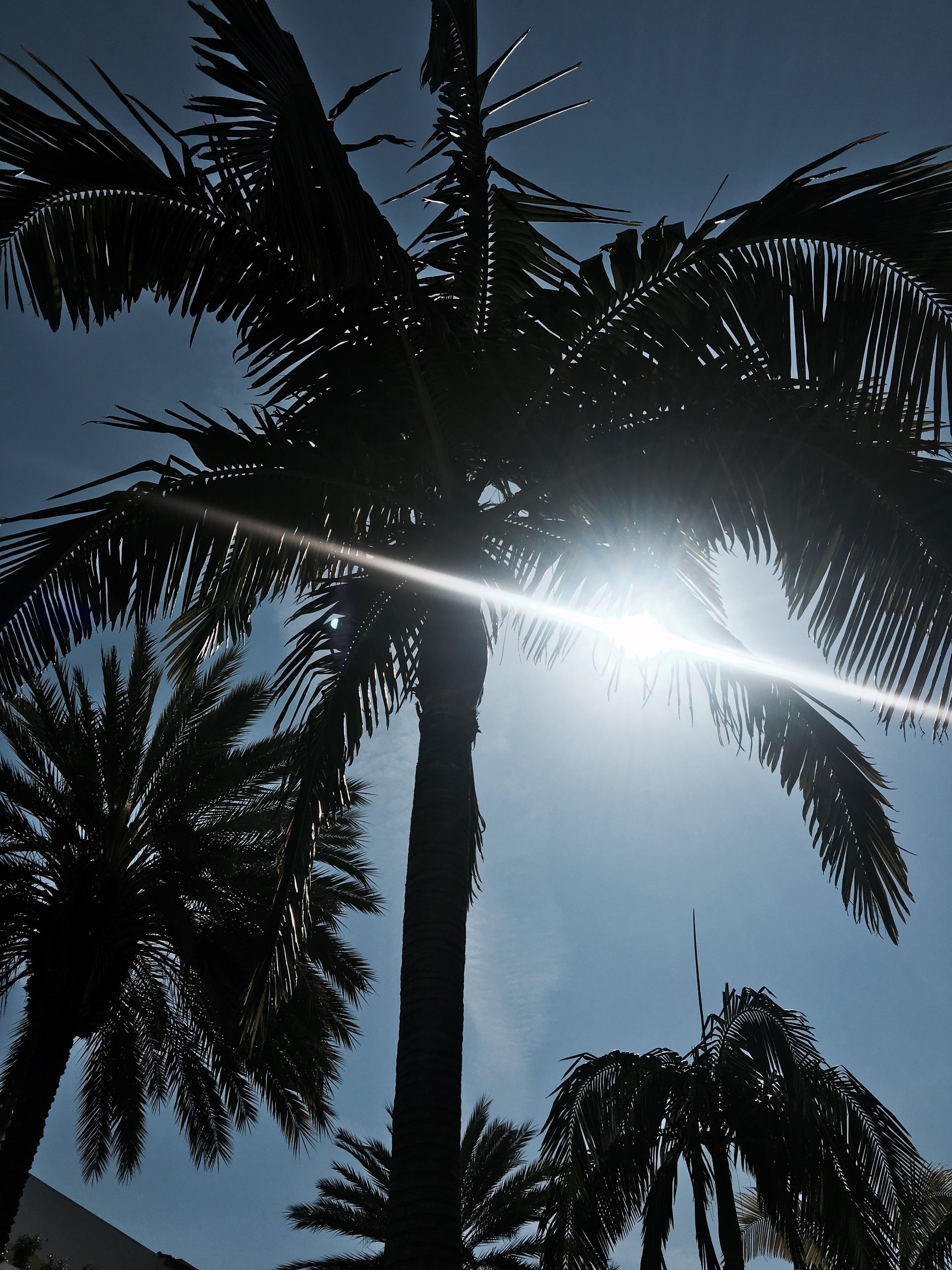 Gulla Jónsdóttir's Los Angeles Hotlist 