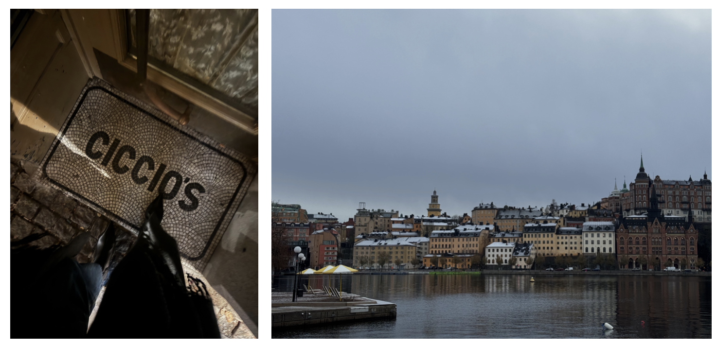 stockholm city guide