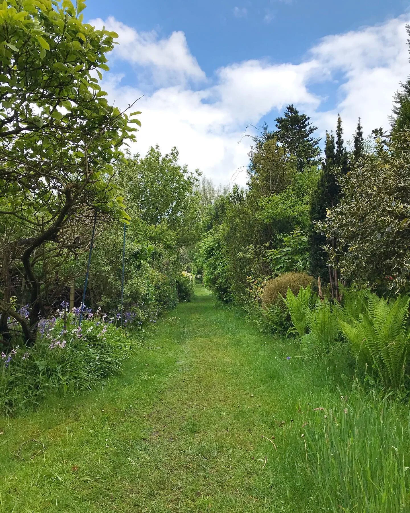 Green way

-
#groen #natuur #denhaag
