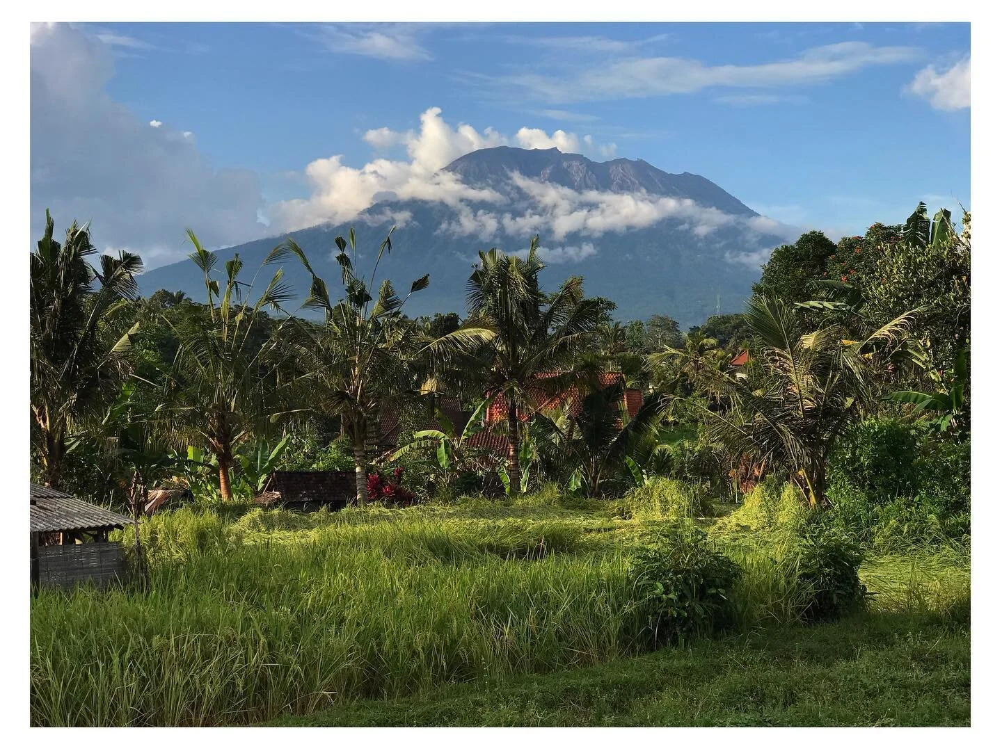 Mount of mountains of Bali
-
#mountagung #mountagungbali #vulcano #bali #indonesia #magichour #incredible #light #lightpainting #photography #naturephotography #mountainphotography #amazing #sunlight #sunlightbrilliant #tropical #island #peace #natur