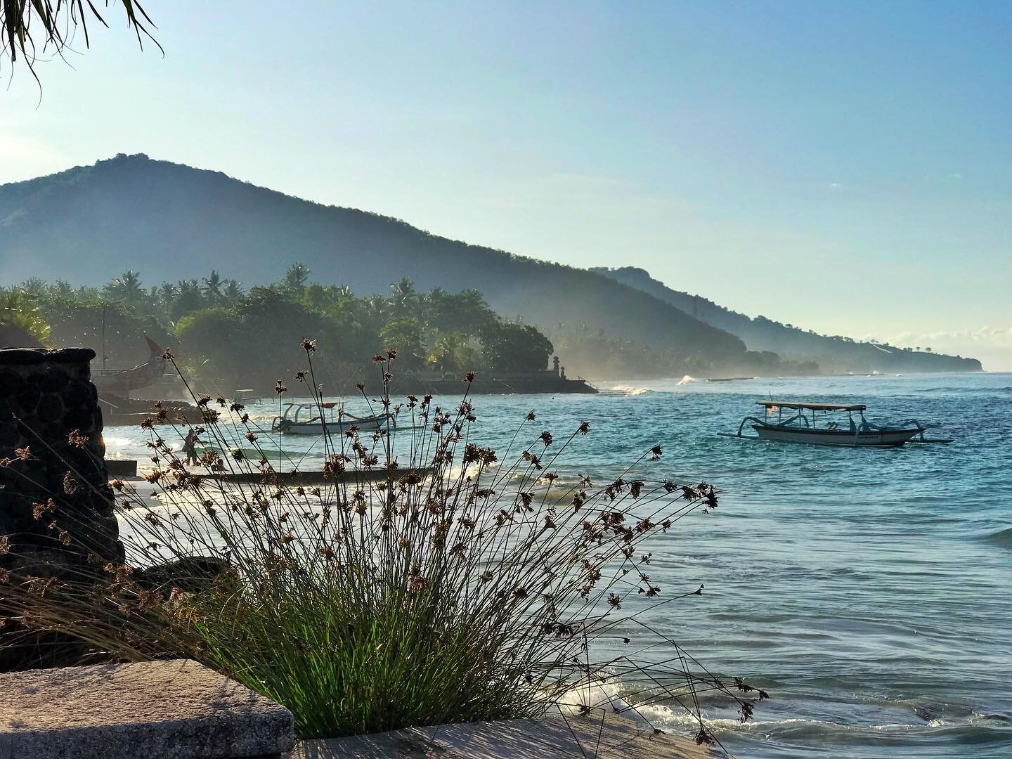 Morning scene 
-
#tropical #freshness #❤️ #bali