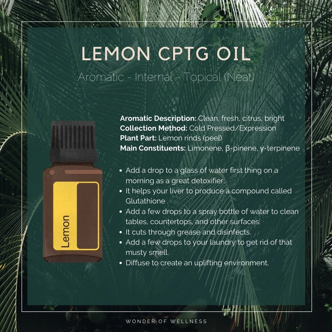 Biological Dental Appointment — Wonder of Wellness®