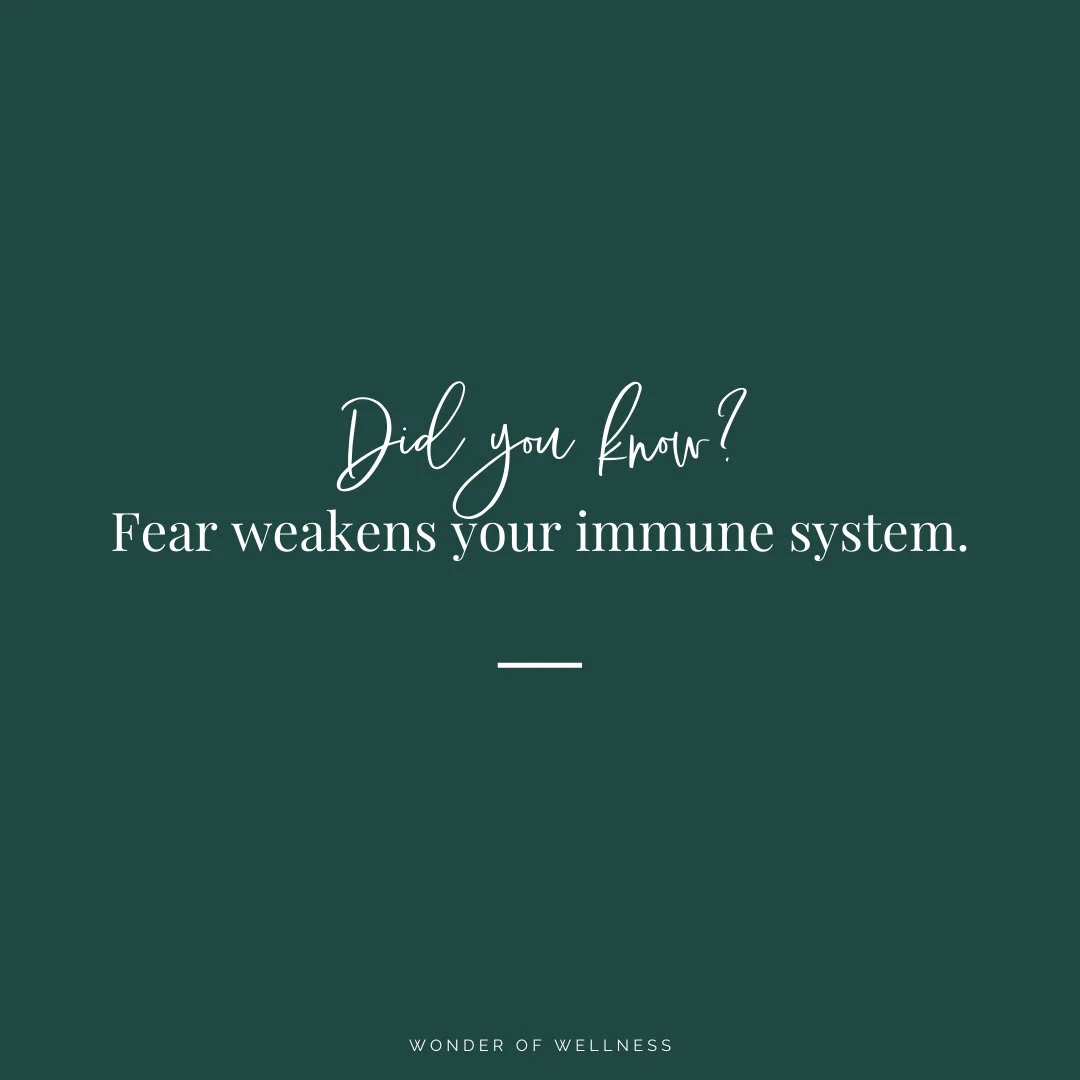 Biological Dental Appointment — Wonder of Wellness®