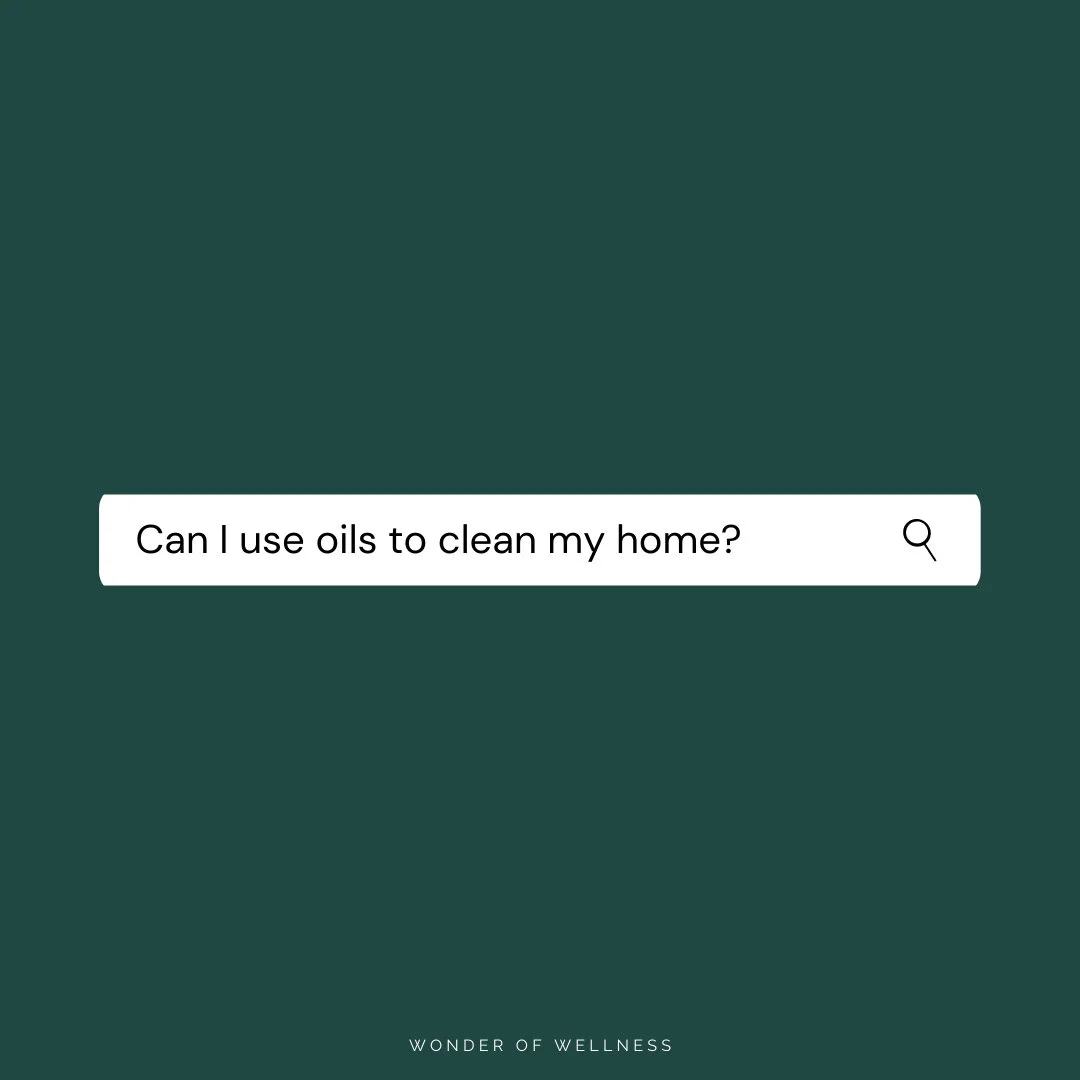 Biological Dental Appointment — Wonder of Wellness®