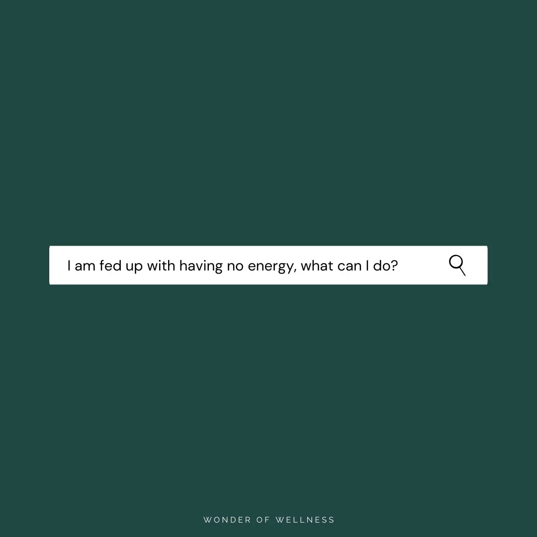 Biological Dental Appointment — Wonder of Wellness®