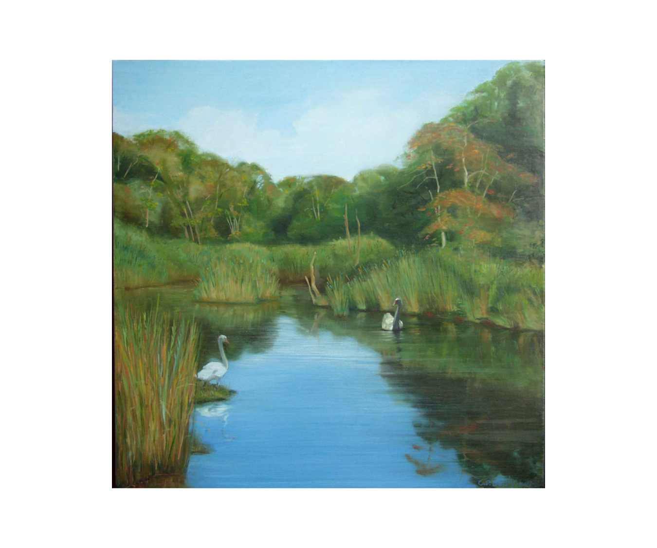 landscapes_Beach Landscape copy 22.png