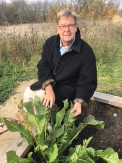 Here, John takes a break to inspect one of the horseradish plants which will be harvested in the early spring. Hundreds of garlic bulbs were planted at the farm this weekend and we look forward to harvesting these in mid-July. Planning a "Garlic Festival" then might be an idea....to attract some additional help!