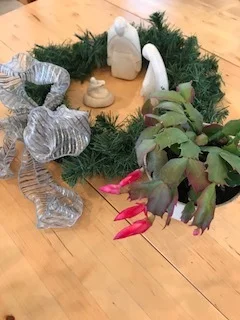 How does it know just when to open? This Schlumbergera is a small genus of cacti found in the coastal mountains of Brazil. This one spends most of the year on a bottom shelf in the greenhouse, neglected and ignored. But each Christmas, as if by magic, its blooms unfold, creating magnificent color for our holiday table!