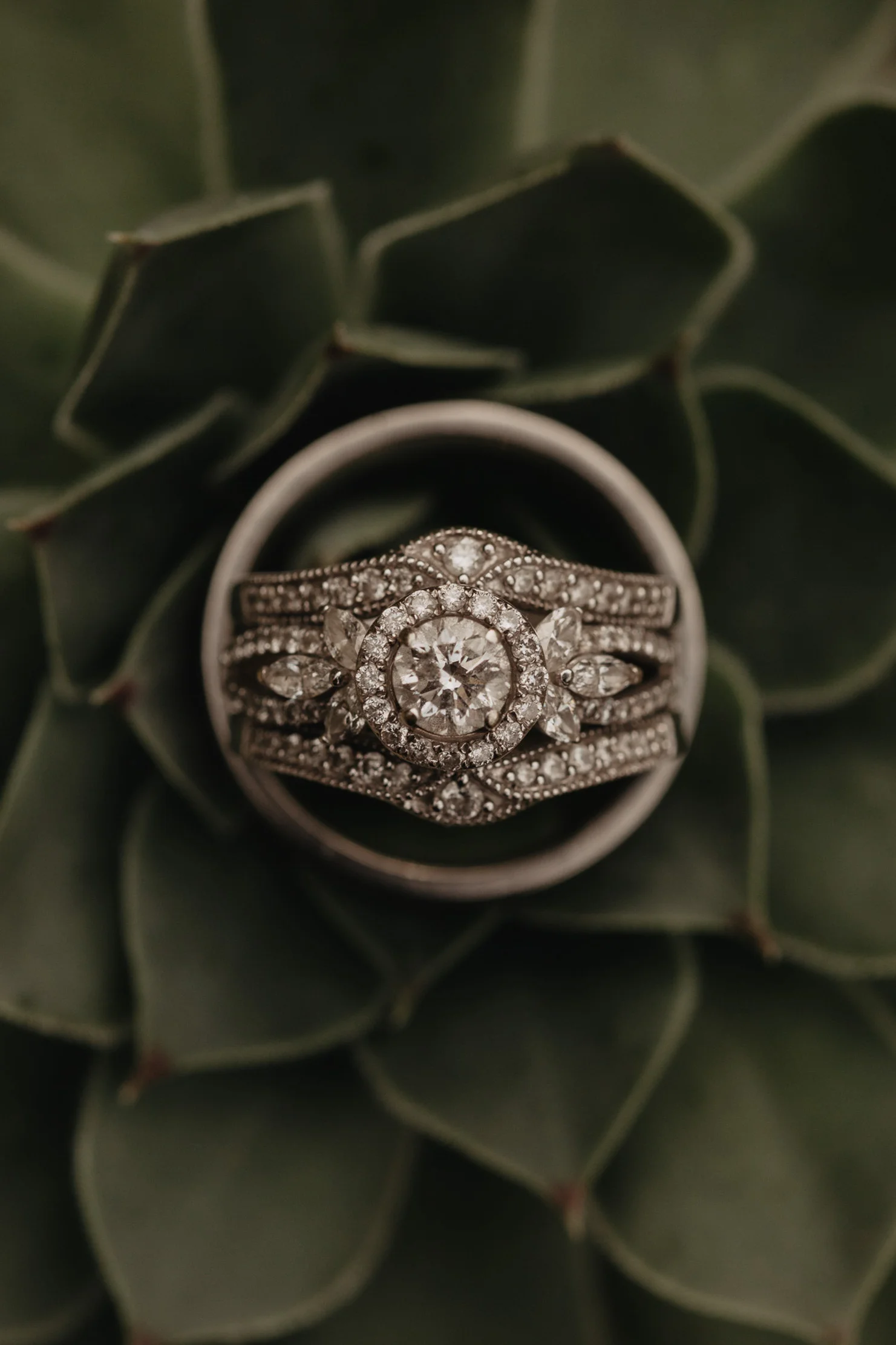 Ijams Nature Center Elopement | Knoxville Wedding Photographer
