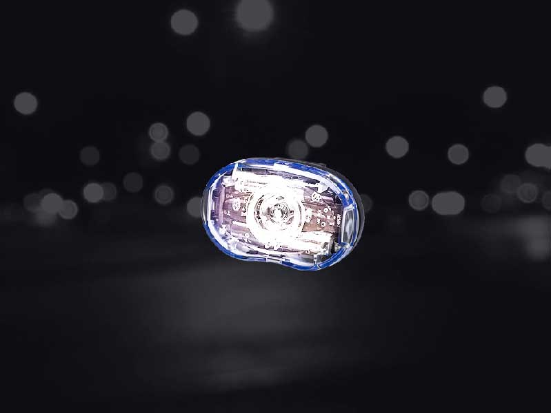 RL318.jpg