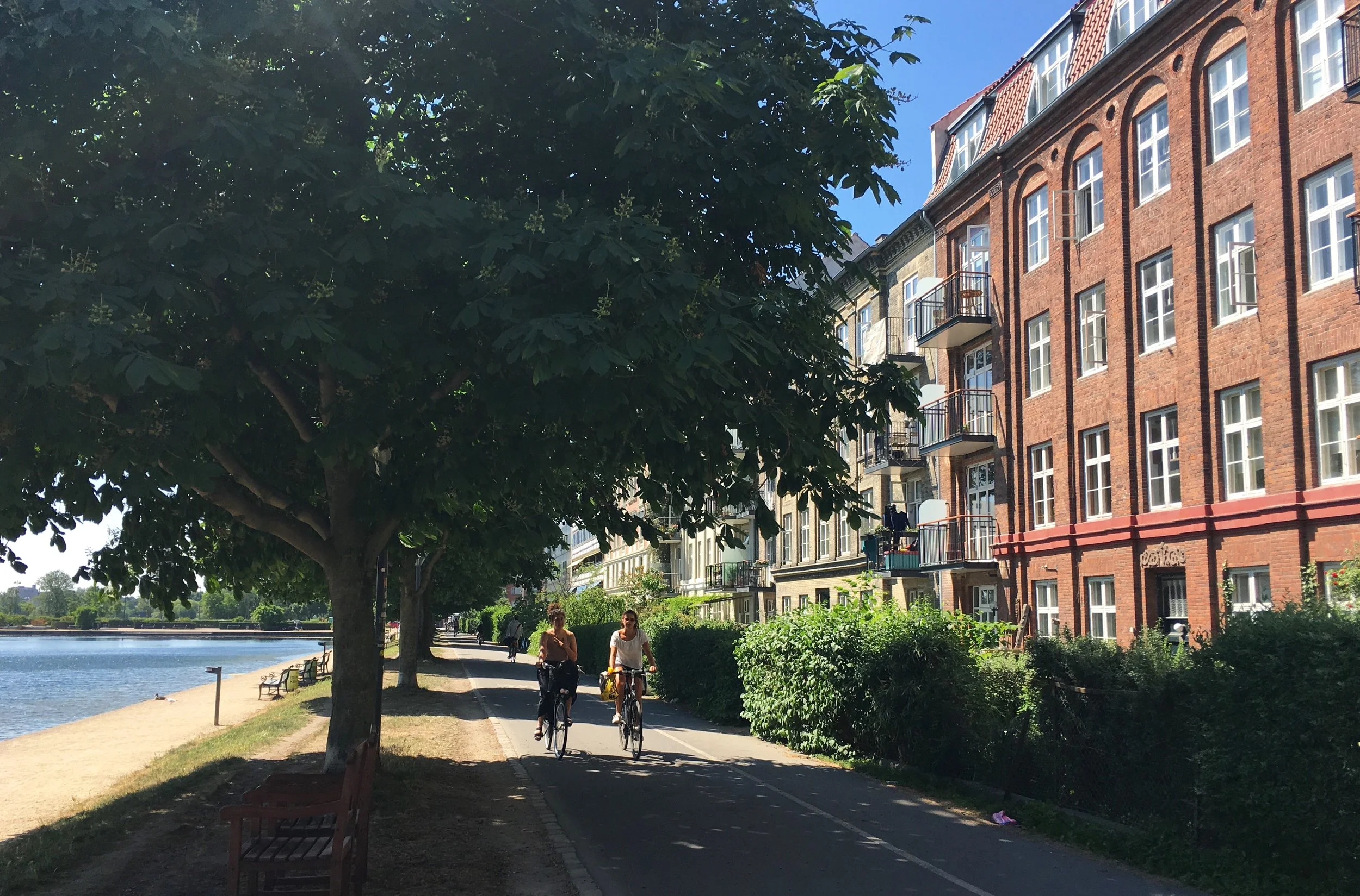 copenhagen.jpeg