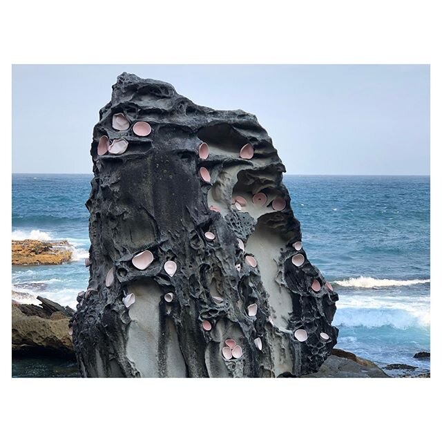 Katie Stewart, &laquo;&nbsp;Spilt Imprint&nbsp;&raquo;
Bondi Beach, Sydney.

#support #australia #throwback #prayforaustralia #sydney #art #contemporaryart #アート　#オーストラリア #現代アート　#シドニー　#ボンダイビーチ